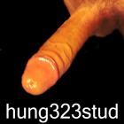 hung323stud