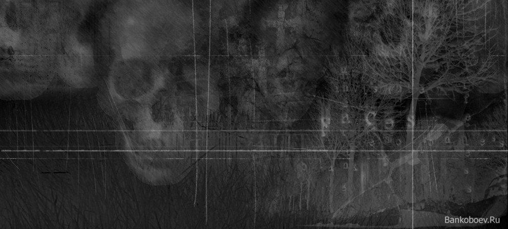 User profile cover