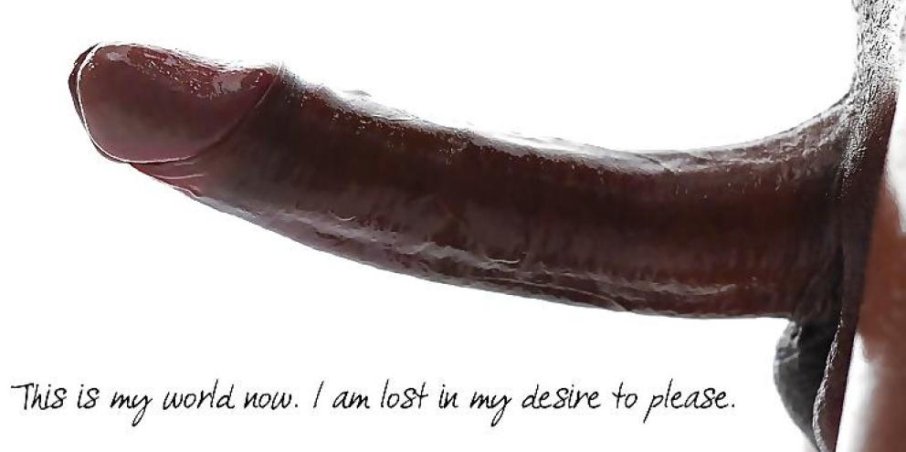 User profile cover