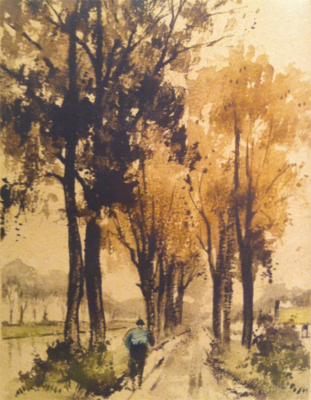User profile cover