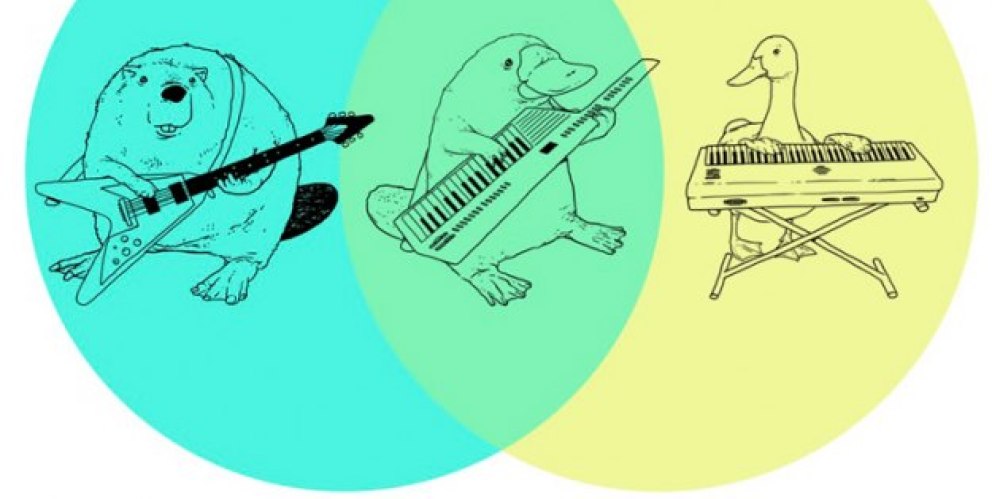 User profile cover
