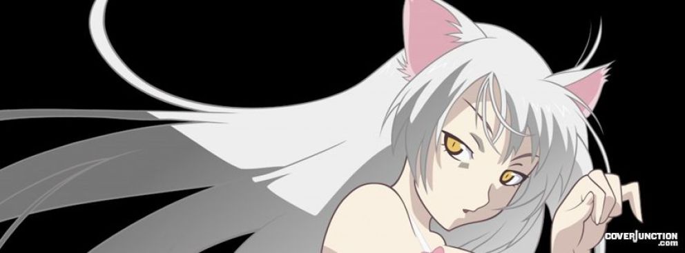User profile cover