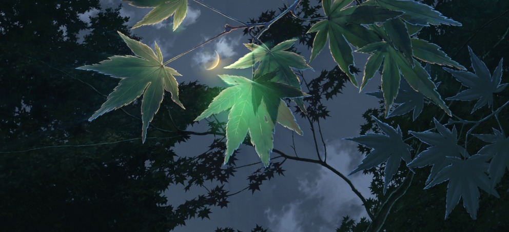 User profile cover