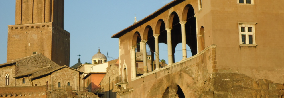 User profile cover